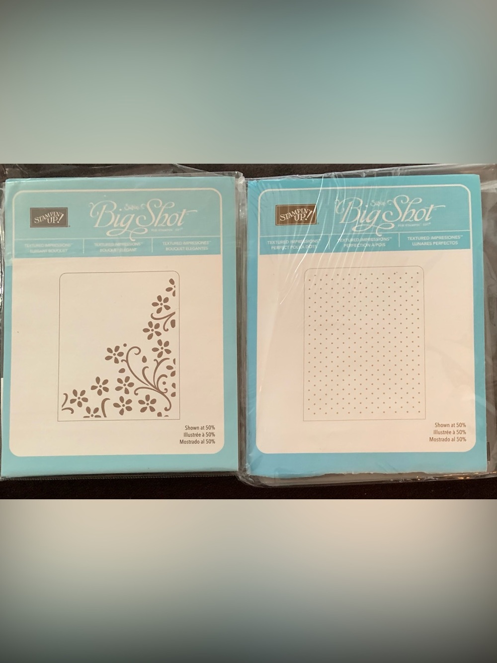 Stampin' Up! Big Shot Embossing Folder Pair